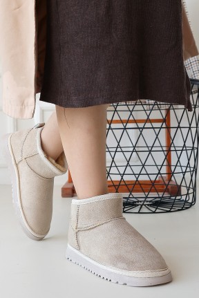 Elsa Bej Süet Bot Elsa Bej Süet Bot