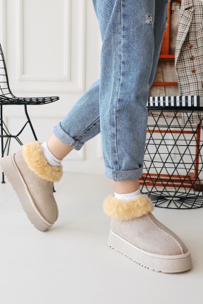 Edali Bej Süet Bot Edali Bej Süet Bot