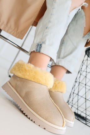 Abby Bej Süet Bot Abby Bej Süet Bot