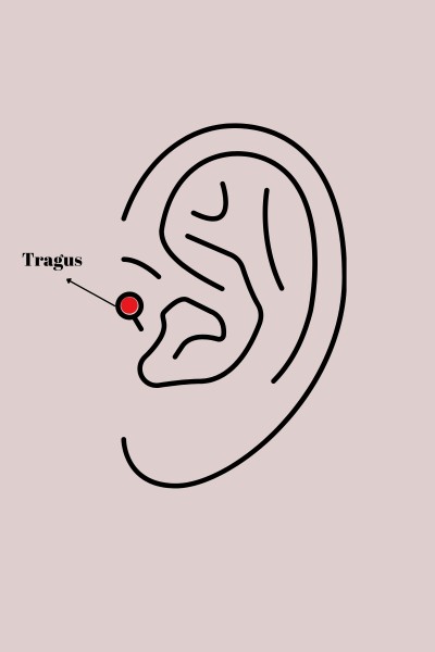 316l çelik Gold Renk Pembe Zirkon Taşlı Kelebek Tragus Piercing 316l çelik Gold Renk Pembe Zirkon Taşlı Kelebek Tragus Piercing