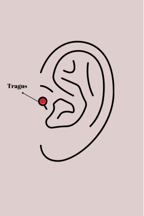 316l çelik Gold Renk Beyaz Mineli Kalp Zirkon Taş Detaylı Taç Tragus Piercing 316l çelik Gold Renk Beyaz Mineli Kalp Zirkon Taş Detaylı Taç Tragus Piercing
