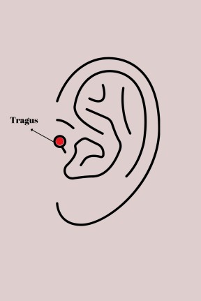 316l çelik Gold Renk Beyaz Mineli Kalp Zirkon Taş Detaylı Taç Tragus Piercing 316l çelik Gold Renk Beyaz Mineli Kalp Zirkon Taş Detaylı Taç Tragus Piercing