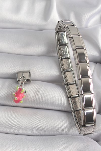 316l çelik Gümüş Renk Sallantı Ejder Meyvesi Model Nomination Charm