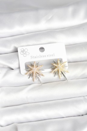 Pirinç Gümüş Renk Kutup Yıldızı Kadın Küpe Pirinç Gümüş Renk Kutup Yıldızı Kadın Küpe