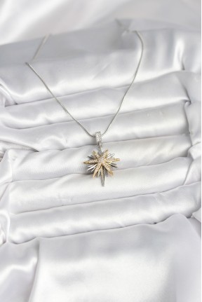 316l çelik Zincir Gümüş Renk Kutup Yıldızı Model Kadın Kolye 316l çelik Zincir Gümüş Renk Kutup Yıldızı Model Kadın Kolye