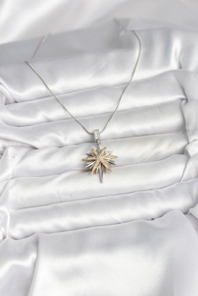 316l çelik Zincir Gümüş Renk Kutup Yıldızı Model Kadın Kolye 316l çelik Zincir Gümüş Renk Kutup Yıldızı Model Kadın Kolye