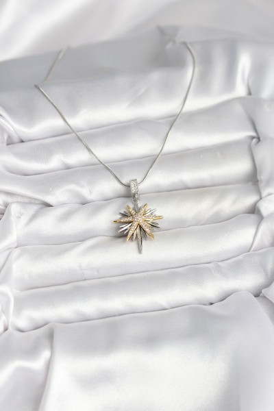316l çelik Zincir Gümüş Renk Kutup Yıldızı Model Kadın Kolye 316l çelik Zincir Gümüş Renk Kutup Yıldızı Model Kadın Kolye