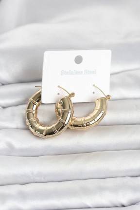 316l çelik Gold Renk Bambu Model Halka Kadın Küpe