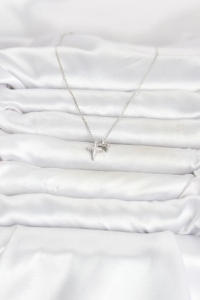 Pirinç Gümüş Renk Minimal Kutup Yıldızı Model Kadın Kolye